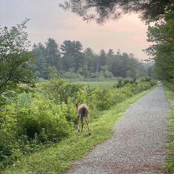 greenway