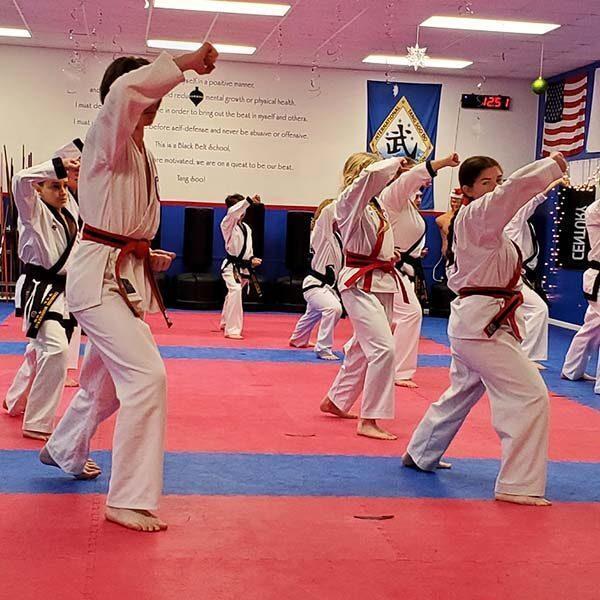 tangsoodo