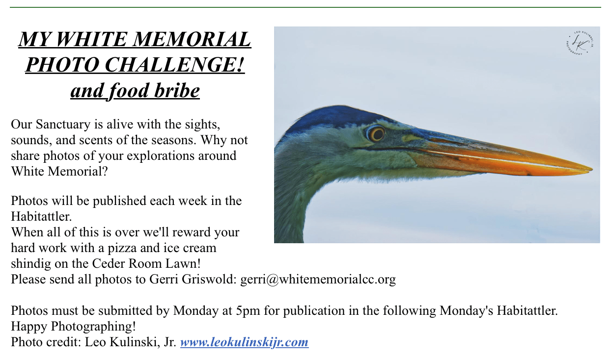 White Memorial photo challenge