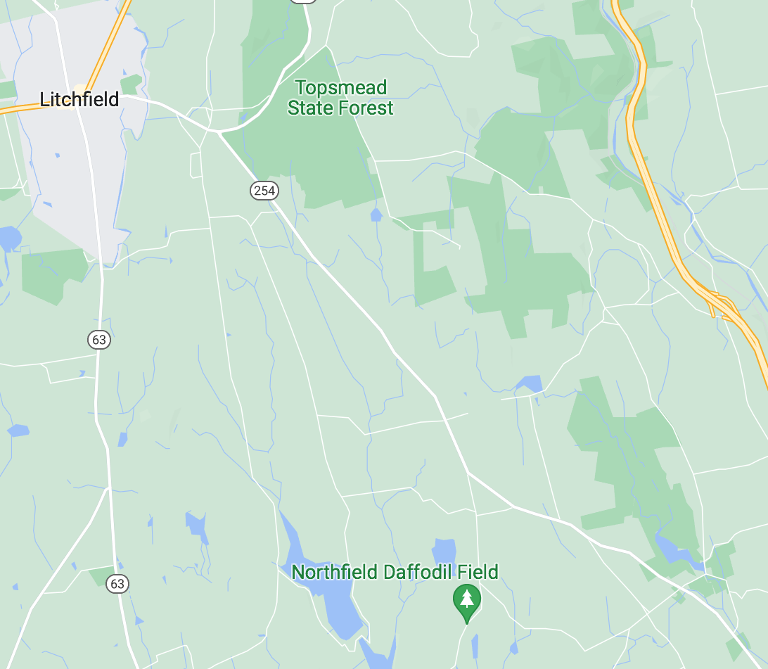 The location of the Laurel Ridge daffodils (Google maps screenshot)
