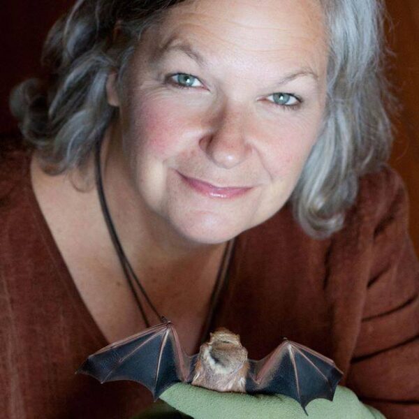 Gerri Griswold, White Memorial, bat lady