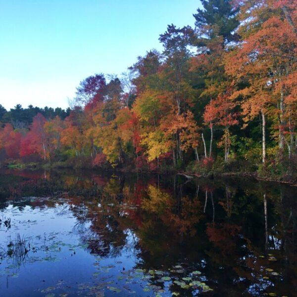 Bantam River