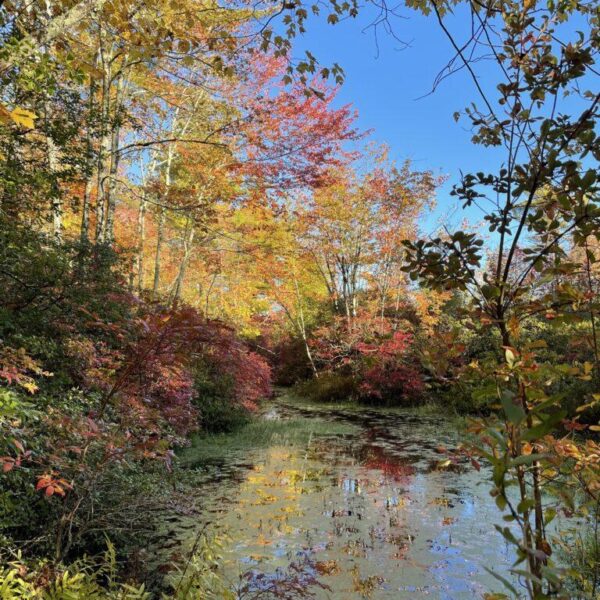 autumn hikes Litchfield CT 2022