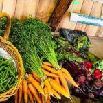 Ox Hollow Farm stand, Litchfield farms