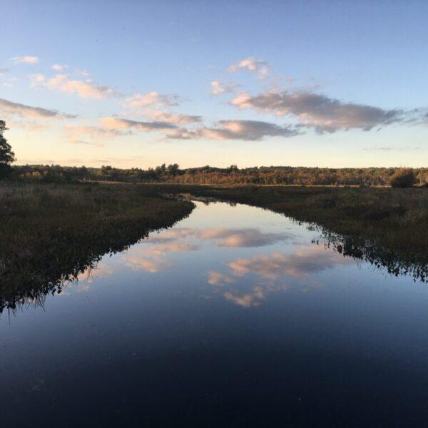 Little Pond Boardwalk