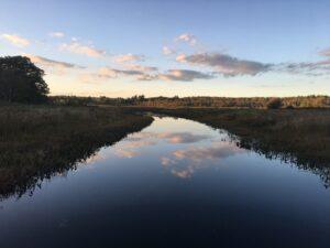 Little Pond Boardwalk 