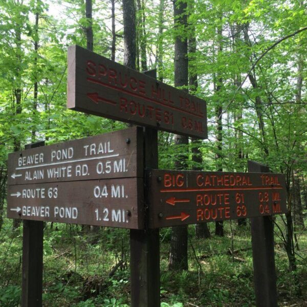 Guided Hikes, White Memorial