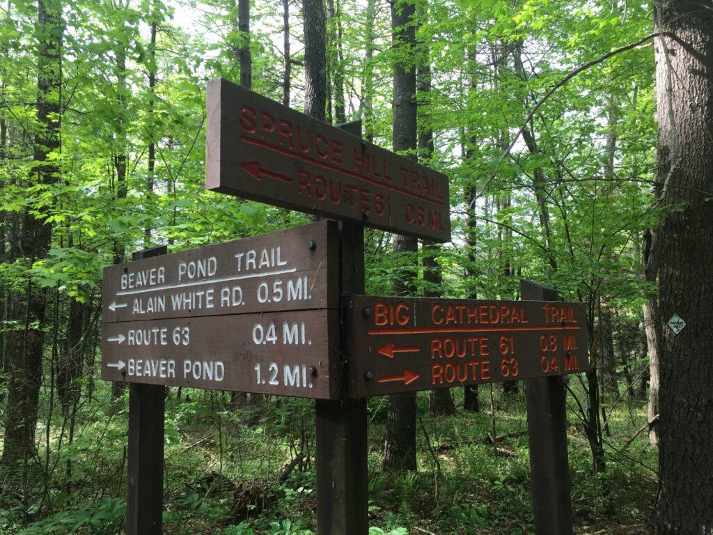 Guided Hikes, White Memorial