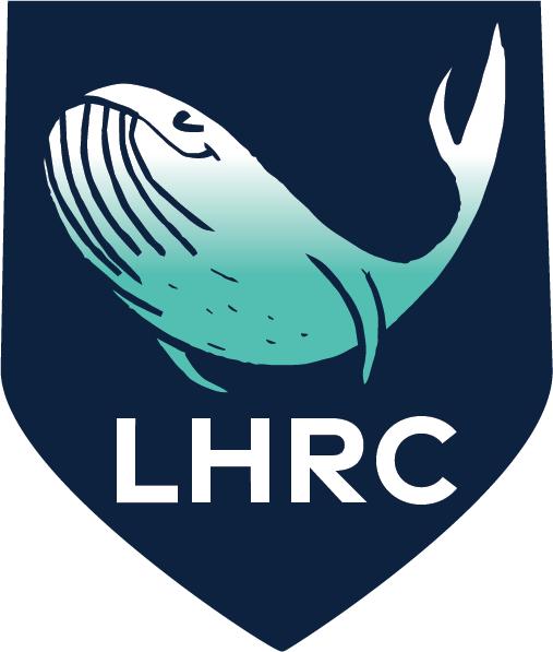 Space Whale "Hilly" is the new face of the Litchfield HIlls Rowing Club