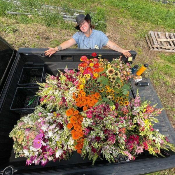 Farmers markets in Litchfield