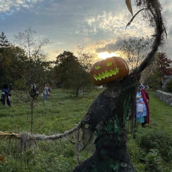 Litchfield Historical Society Scarecrows in the Meadow