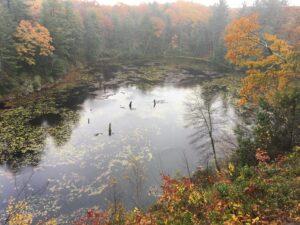 Guided hikes Litchfield CT autumn 2023