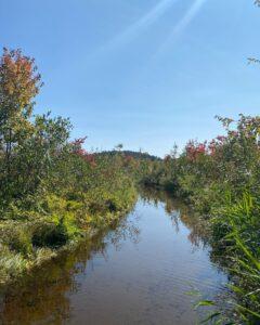 Guided hikes Litchfield CT autumn 2023