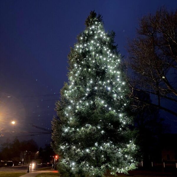 When Litchfield’s holiday tree on the Green was lit for the first time this year on Sunday as part of Holiday Stroll festivities, it announced more than the formal arrival of the season in Litchfield. This majestic tree, shining like a beacon in the center of a vibrant, historic town, is also a living tribute to Glenn “Chipper” Winn, who died in a car accident in 1997. A Town of Litchfield Facebook post from the tree lighting in 2020 (Nov. 27), took note of the tree’s significance to the Winn family: “It’s official, the Holiday season is upon us. The town always looks so festive this time of year. 600 Brand new LED lights charm the tree this year on Center Green. This tree was planted 22 years ago in memory of Glenn Winn, who died tragically in an automobile accident. Thank You to community volunteer John Langer who installs and double checks the bulbs each year.” Donna Winn, a former director of Litchfield Park & Recreation, whose ancestors were among the town’s early settlers in the 1700s, joined with family and friends after her son’s death to plant a new community Christmas tree on the Green as a living tribute to Chipper. “It was quite a project,” Ms. Winn said in an email to the town’s Economic Development Commission, which this holiday season remembered Chipper in a special note that appears in the window of the visitor’s booth across from the holiday tree on the Green. “In the heart of the community stands a magnificent tree, a living tribute to the cherished memory of Glenn "Chipper" Winn from the Milton section of Litchfield — the beloved son of Donna and Glenn E. Winn Sr. and brother to Neal Winn,” the note says. “Planted in his honor, the evergreen has grown into a beautiful centerpiece in Litchfield. Adorned with twinkling lights, the tree takes on a special radiance during the holiday season, lighting up the Green and casting a warm glow over the town that Chipper held so dearly in his heart.” 1978 - 1997