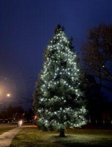 When Litchfield’s holiday tree on the Green was lit for the first time this year on Sunday as part of Holiday Stroll festivities, it announced more than the formal arrival of the season in Litchfield. This majestic tree, shining like a beacon in the center of a vibrant, historic town, is also a living tribute to Glenn “Chipper” Winn, who died in a car accident in 1997. A Town of Litchfield Facebook post from the tree lighting in 2020 (Nov. 27), took note of the tree’s significance to the Winn family: “It’s official, the Holiday season is upon us. The town always looks so festive this time of year. 600 Brand new LED lights charm the tree this year on Center Green. This tree was planted 22 years ago in memory of Glenn Winn, who died tragically in an automobile accident. Thank You to community volunteer John Langer who installs and double checks the bulbs each year.” Donna Winn, a former director of Litchfield Park & Recreation, whose ancestors were among the town’s early settlers in the 1700s, joined with family and friends after her son’s death to plant a new community Christmas tree on the Green as a living tribute to Chipper. “It was quite a project,” Ms. Winn said in an email to the town’s Economic Development Commission, which this holiday season remembered Chipper in a special note that appears in the window of the visitor’s booth across from the holiday tree on the Green. “In the heart of the community stands a magnificent tree, a living tribute to the cherished memory of Glenn "Chipper" Winn from the Milton section of Litchfield — the beloved son of Donna and Glenn E. Winn Sr. and brother to Neal Winn,” the note says. “Planted in his honor, the evergreen has grown into a beautiful centerpiece in Litchfield. Adorned with twinkling lights, the tree takes on a special radiance during the holiday season, lighting up the Green and casting a warm glow over the town that Chipper held so dearly in his heart.” 1978 - 1997 