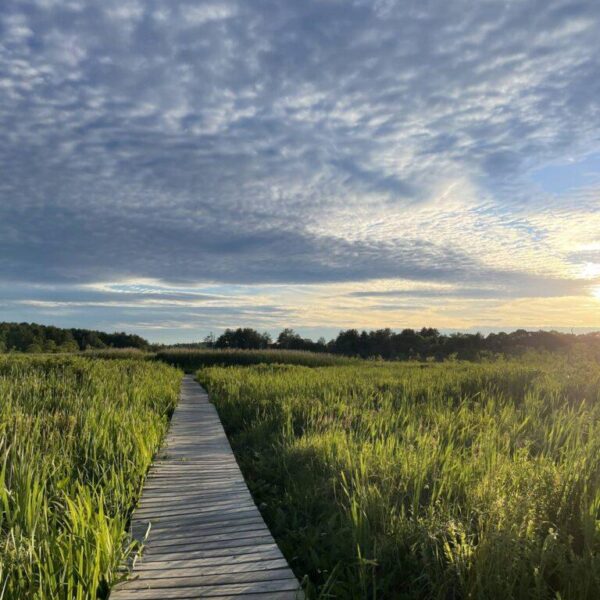 Boardwalk