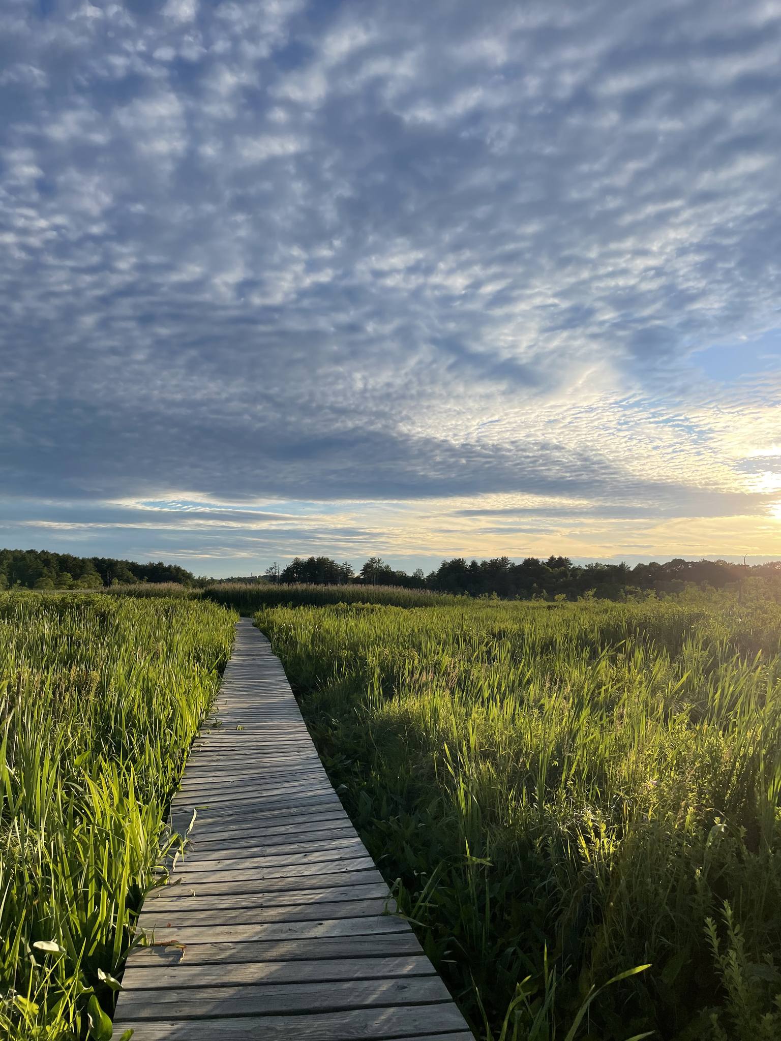 Boardwalk