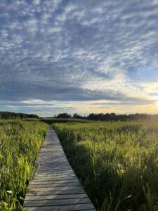 Little Pond Boardwalk Trail, WhiteMemorial