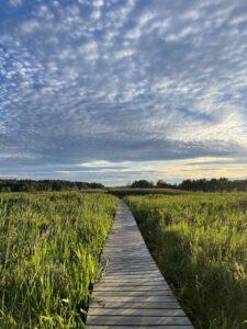 Condé Nast Traveler named Litchfield and Litchfield County to its new list of The Best Places to Go in the US in 2025 –