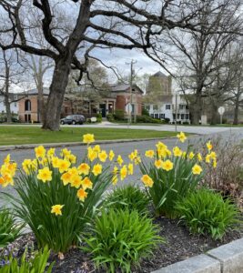 Litchfield Historical Society opens for the 2026 season with new exhibits.