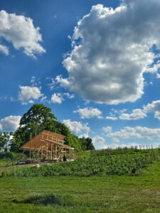 Fox and the Buck Farm