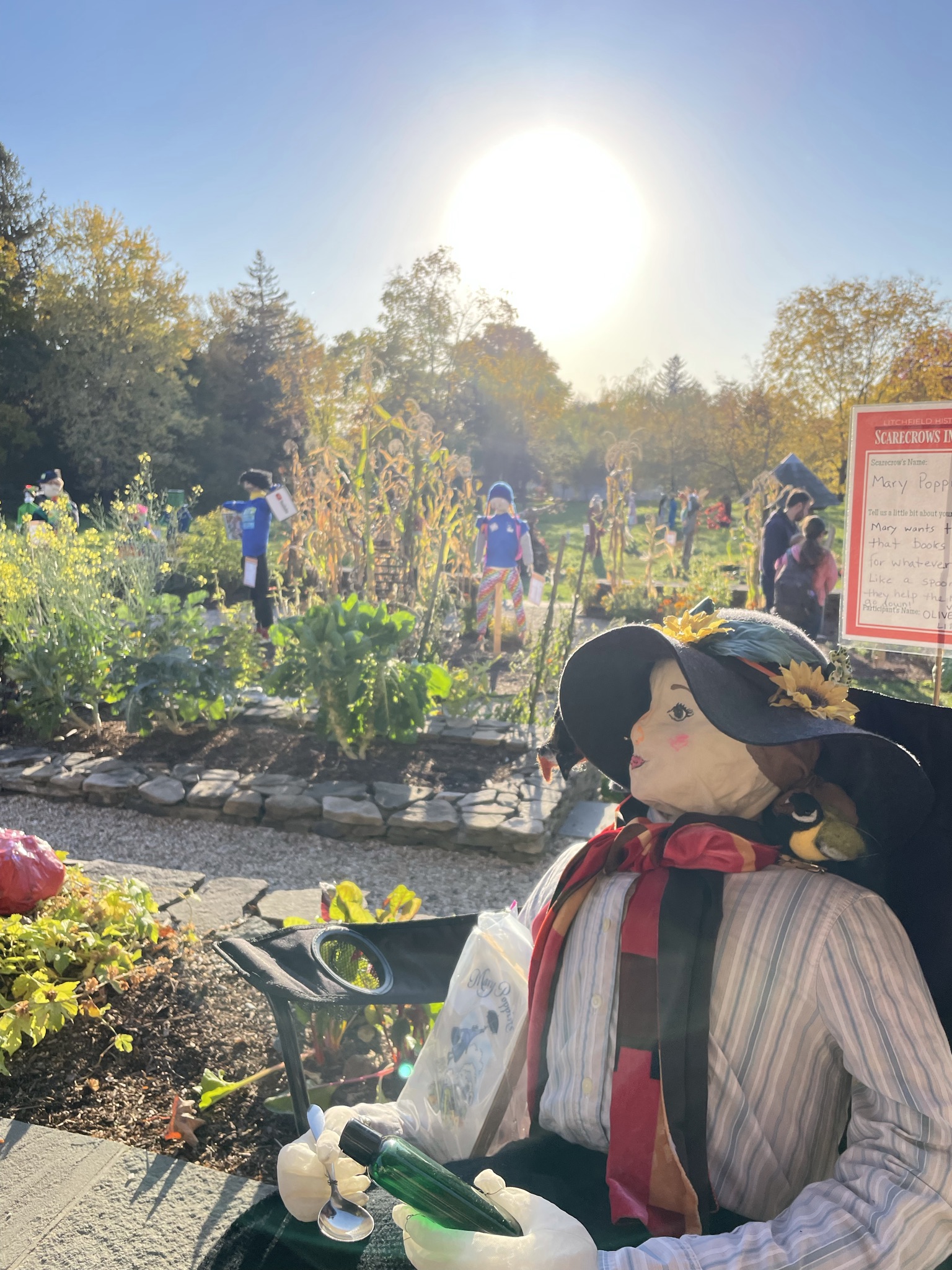 Scarecrows in the Meadow 2026