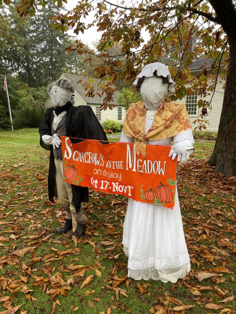 Scarecrows in the Meadow