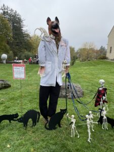 Scarecrows in the Meadow