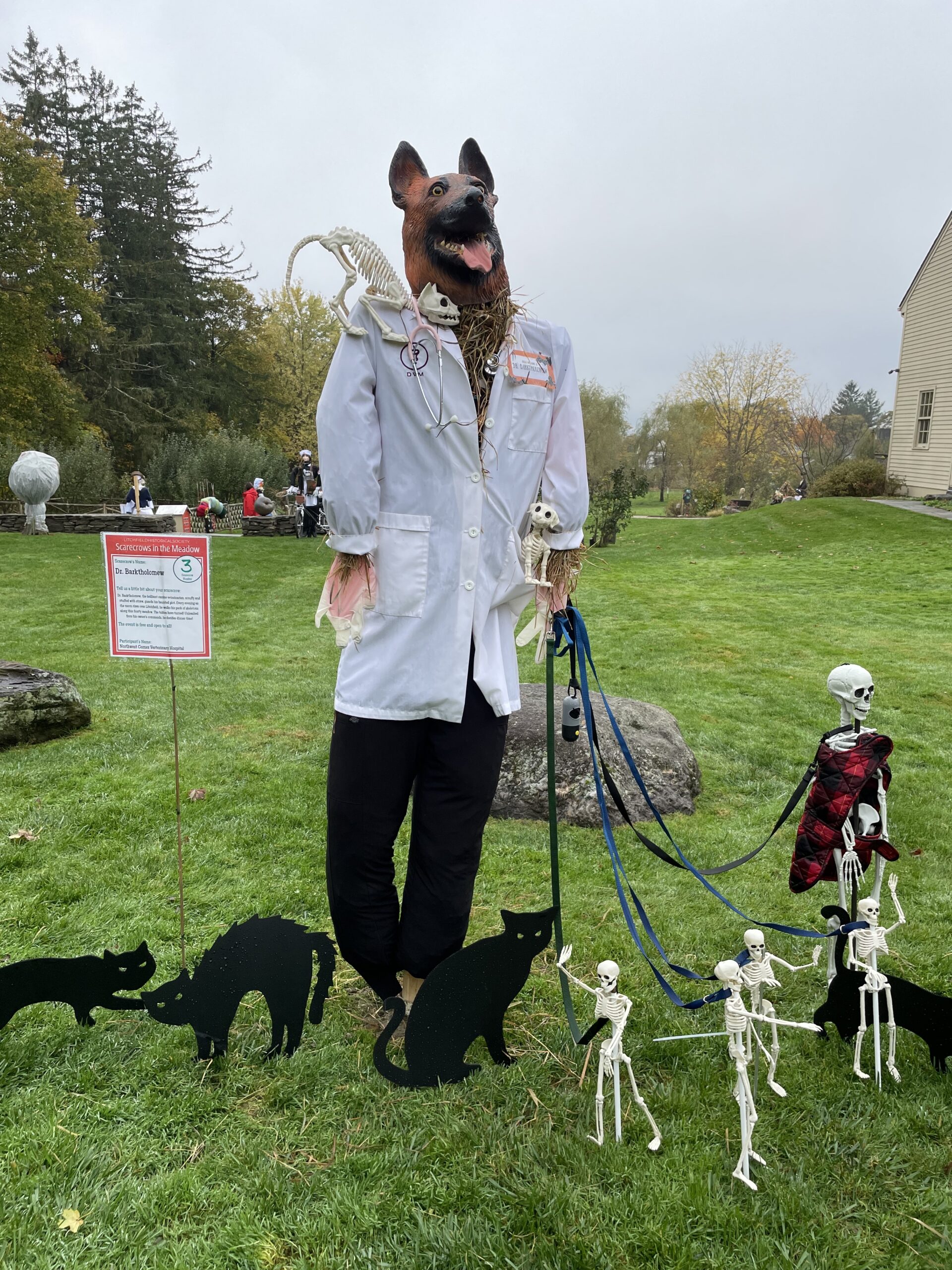 Scarecrows in the Meadow