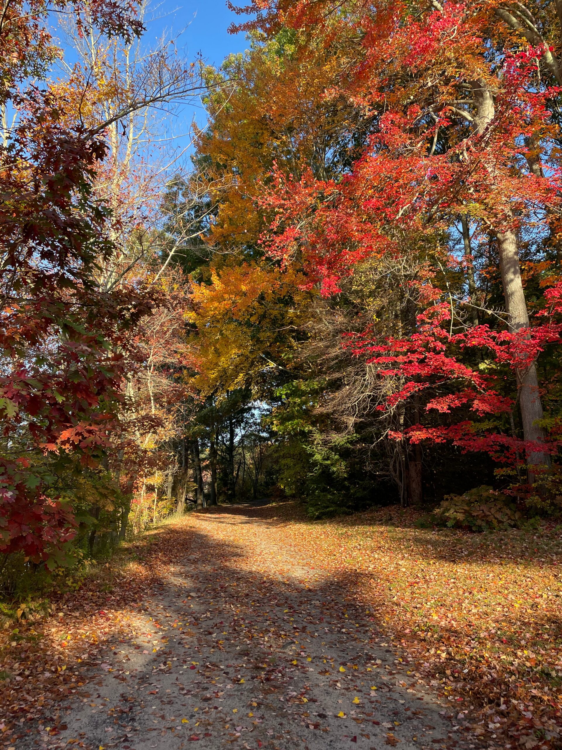 road to color